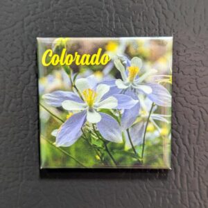 Colorado Columbine 2x2 Magnet